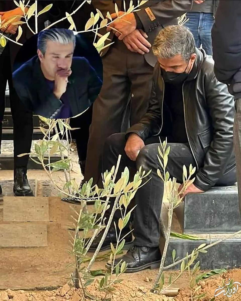 کمر آریا عظیمی نژاد شکست ! - عکس تکاندهنده داور عصر جدید